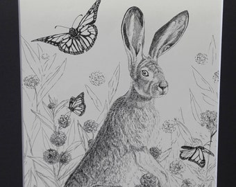 Hare Among the Monarchs - ORIGINAL 11x14 Matted 8x10 Wildlife Drawing - Jackrabbit and Butterflies