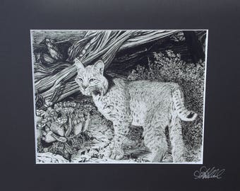 Desert Bobcat - 11x14 Matted 8x10 Wildlife Art Print