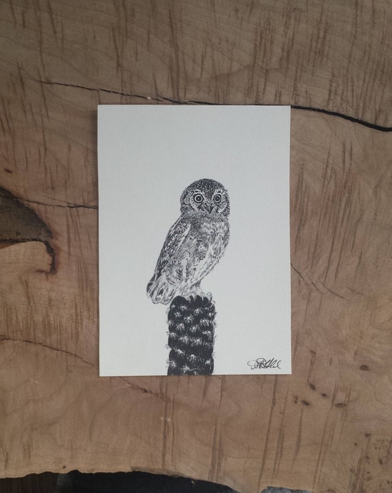 original elf owl micrathene whitneyi 4x6 drawing etsy original elf owl micrathene whitneyi 4x6 drawing