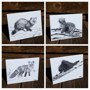 10 tarjetas de notas en blanco - Mix & Match - Mamíferos de América del Norte - Wildlife Art