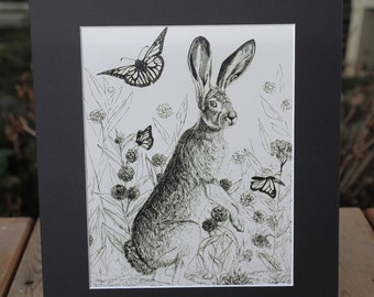 Hare Among the Monarchs - 11x14 Matted 8x10 Art Print (Lepus californicus and Danaus plexippus)