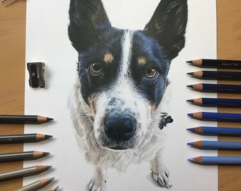 Pet Portrait Drawing, Pet Memorial, Dog Portrait, Cat Portrait, Gift Voucher, Pet Gift, Photo Portrait, Pet Artist Pet Loss Gift Pet Drawing