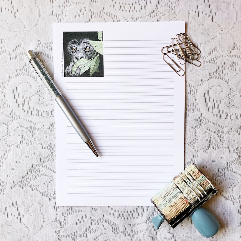 Gorilla Stationery Stationary Gift Set Writing Paper Set Jungle Theme Letter Set Stationary Set Letter Stationary Letter Writing Set
