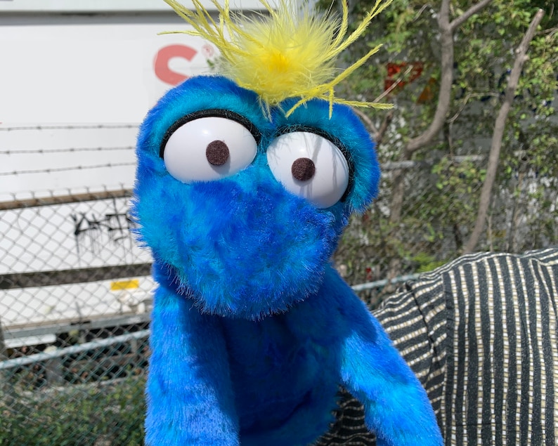 May include: A blue and turquoise fuzzy puppet with large white eyes and a yellow feathered crown. The puppet is looking directly at the camera.