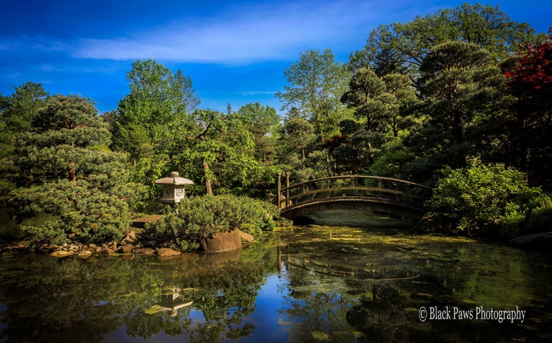 Japanese Garden Rockford Il Etsy
