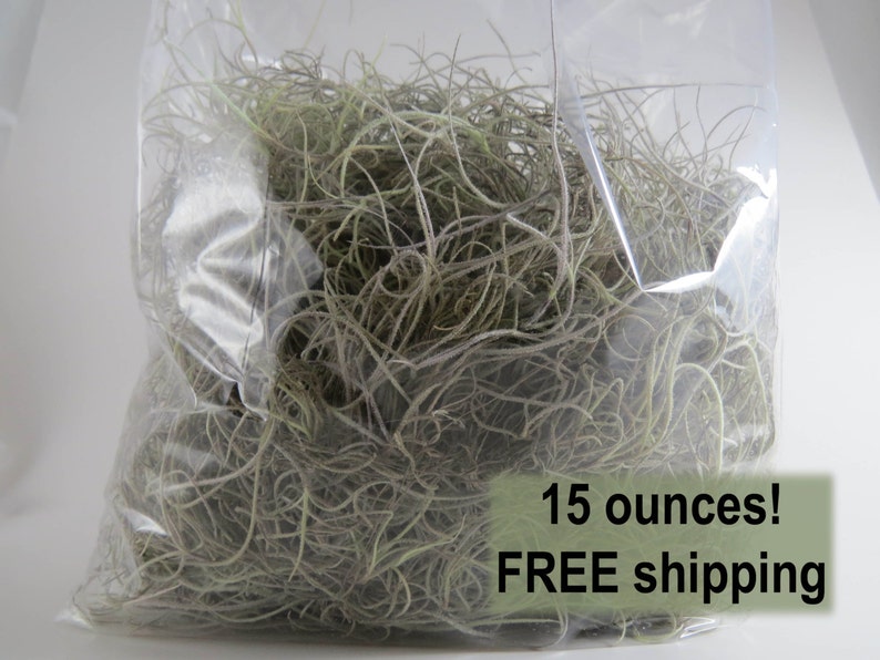 May include: A clear plastic bag filled with 15 ounces of dried Spanish moss. The bag has a white label with the text "15 ounces! FREE shipping".