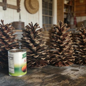 May include: A collection of large, brown pine cones arranged on a weathered wooden surface. A can of Del Monte apple slices is positioned in front of the cones. The background includes a rustic setting with wooden elements.