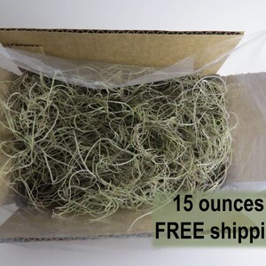 May include: A cardboard box filled with 15 ounces of Spanish moss. The moss is light green and is packed in a clear plastic bag. The box is open and the moss is visible. The text "15 ounces! FREE shipping" is printed on the box.