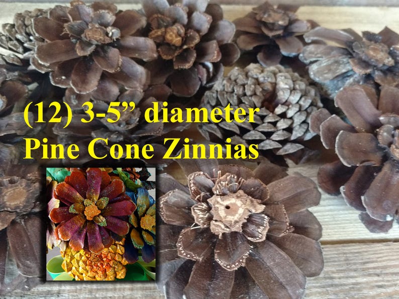 Pine Cone Zinnia Pine Cone Flowers Pine Cone Wreath Pine Etsy