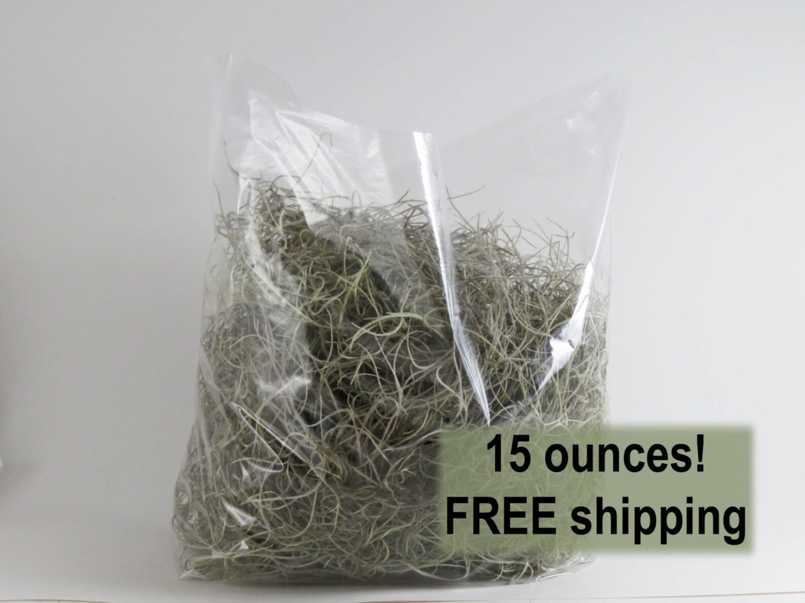 Spanish Moss Live Spanish Moss Real Moss Floral Moss Etsy