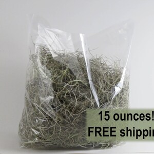 May include: A clear plastic bag filled with 15 ounces of dried Spanish moss. The bag is sitting on a white surface. 15 ounces! FREE shipping