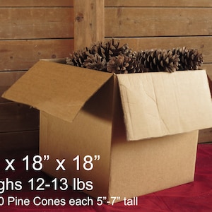 May include: A large, open cardboard box filled with pine cones. The box is 18" x 18" x 18" and weighs 12-13 lbs. The text indicates there are 35-40 pine cones, each 5"-7" tall. The background is a wooden wall.