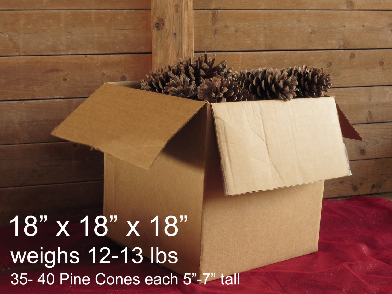 5 7 Bulk Pine Cones Giant Pine Cones Jumbo Pine Etsy Canada