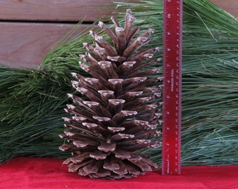 9-10" Giant Pine Cone, Pine Cone Ornament, Pine Cone Decor, Pine Cone Decoration, Christmas Decorations, Pine Cone Wreath, Pine Cone Garland