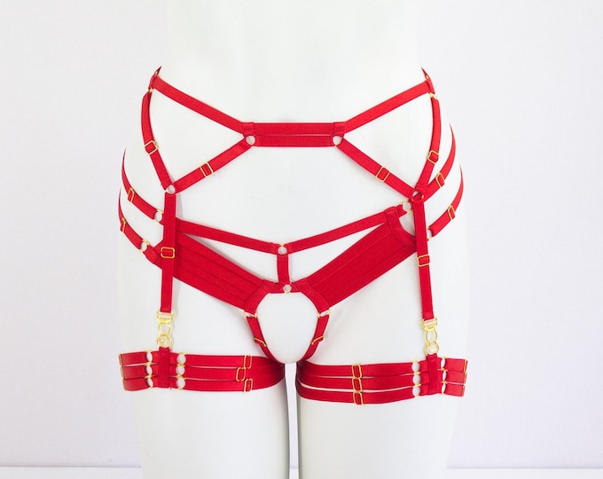 Red Body Harness Lingerie Set: Red Garter Belt, Red Lingerie Set, Costume Harness, Harness Panties, Adjustable Harness, Exotic Dancewear