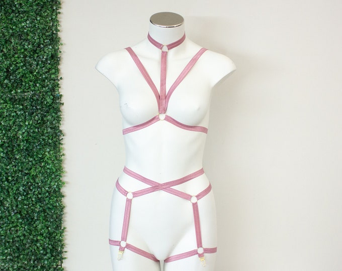 Delella Harness Set: Limited Edition Vintage Rose!