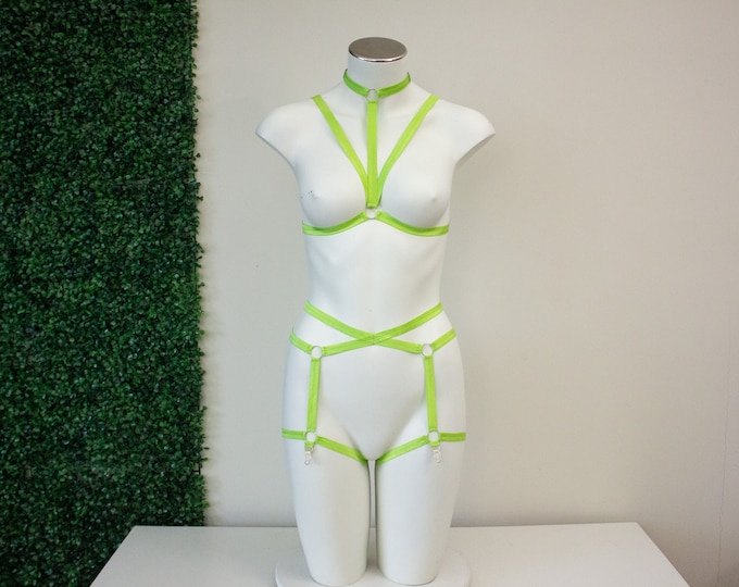 Delella Harness Set: Limited Edition Vintage Rose!