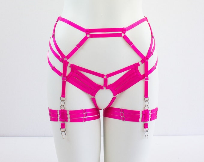 Pink Body Harness Lingerie Set: Pink Garter Belt, Pink Lingerie Set, Costume Harness, Harness Panties, Adjustable Harness, Exotic Dancewear