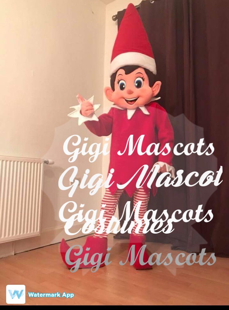 professional elf costume