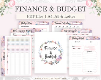 Financial Planner Printable, A5 Planner Inserts, Budget Planner, Finance Planner, Savings, Expense, Big Happy Planner, Filofax A5, A4 Letter