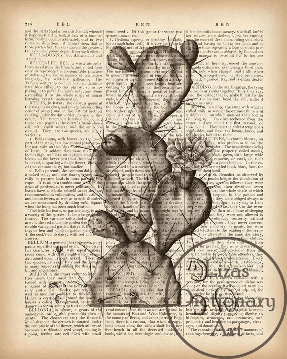 8X10 11x14 Dictionary art print Cactus print Print on book Etsy