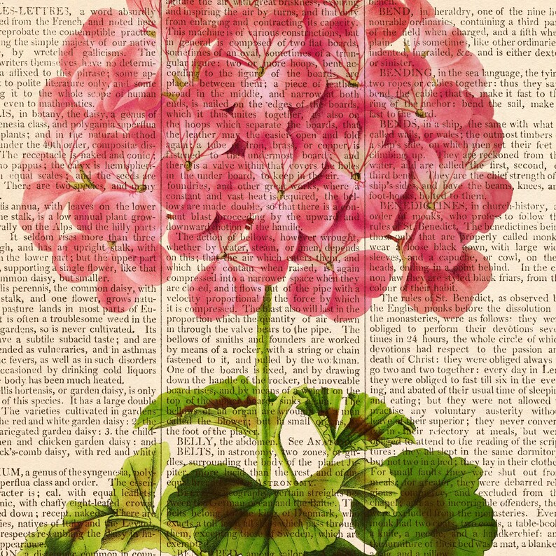 Botanical print Antique botanical dictionary print set Etsy