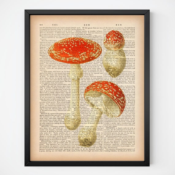 Mushroom dictionary print Antique botanical print Upcycled Etsy