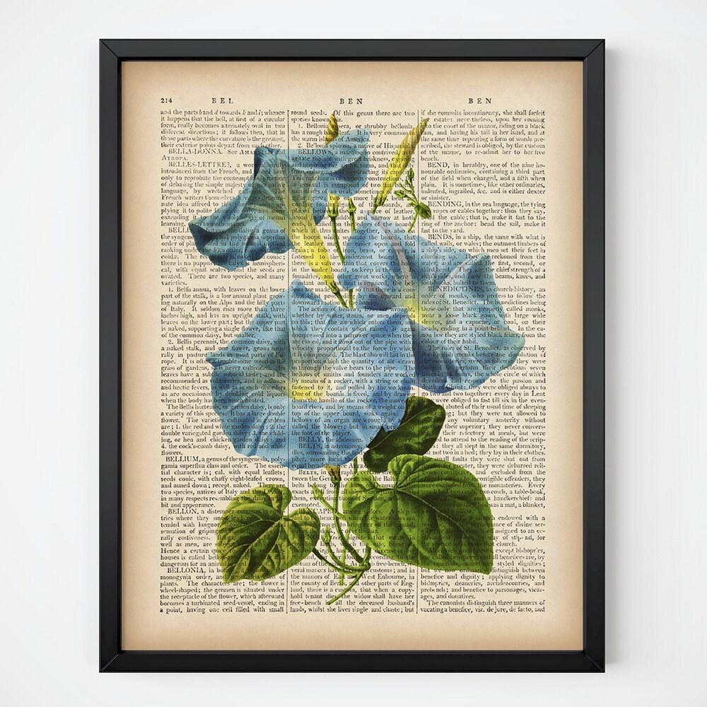 Flower dictionary print Morning glory print Botanical art Etsy