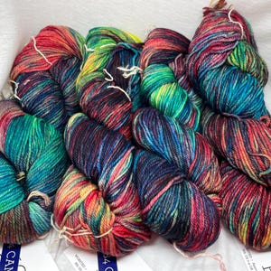 Malabrigo Rios Worsted Weight Yarn in 684 Camaleon