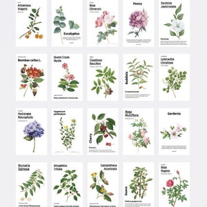 Botanical Wildflower plant mini papers, nature spring theme papers for Scrapbook or Junk Journal 80 pk