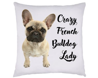 Indian South Asian Home Decor Pillows Crazy French Bulldog