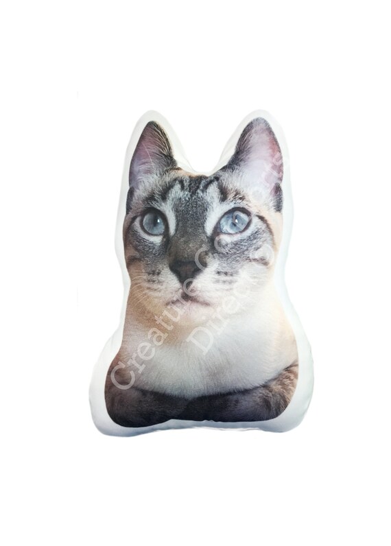 personalised cat cushion