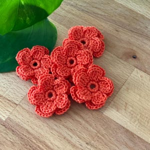 LOL 7, Fiori uncinetto piccoli irlandesi, Fiori uncinetto 2 strati, Roselline uncinetto, Abbellimenti scatole regalo, Kit di ispirazione