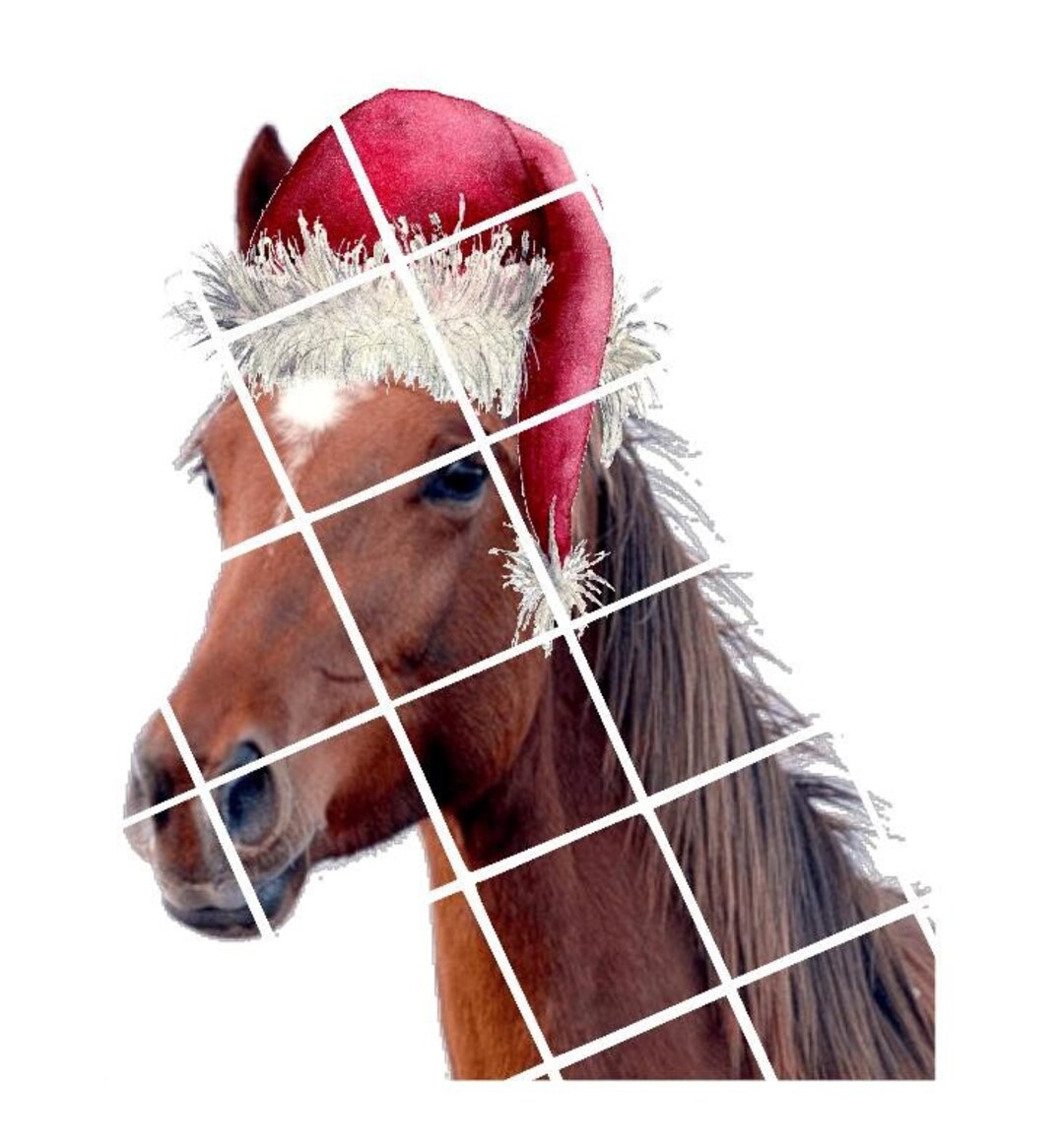 Horse Santa Hat Christmas Holiday Ready to Press Sublimation Transfer Sublimation Transfer Etsy