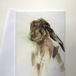 Hare art cards, animal art cards, wildlife cards