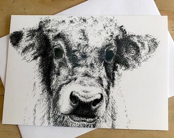 Cow card, Cow greetings card, farm animal card, farm animal greetings card, Cow fine art card