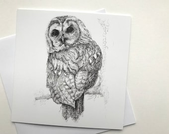 Tawny Owl Greetings Card, Owl Lovers Card, Owl Card, Blank Card