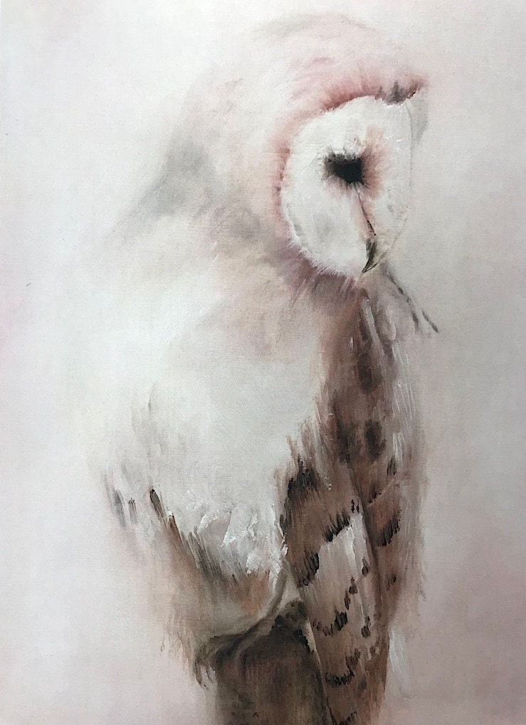 Owl card, owl art card, wildlife greetings card, bird art card