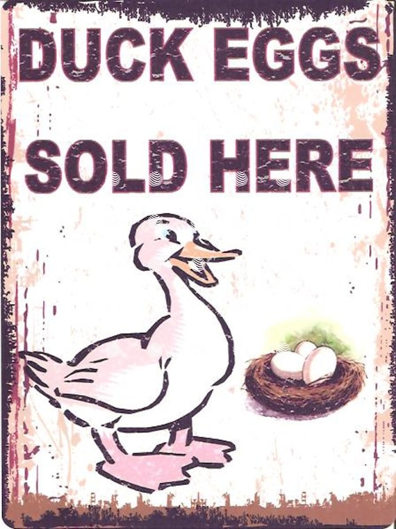 Duck Eggs Sold Here Metal Wall Sign Retro Vintage Style Etsy UK