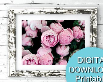 Printable Peonies Photograph Digital Peonies Print 5x7 8x10 11x14 16x20 24x36 30x40 A4 A3