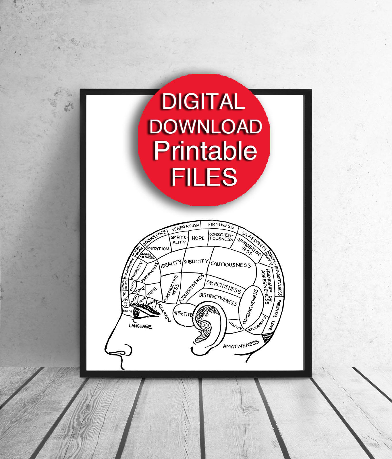 Phrenology Chart, Printable, Intellect Print, Retro, 50x70 Printable Geek Reward, 5x7 8x10 11x14 16x20 24x36 A3 A4 image relating to Brain Hat Printable called Phrenology Chart, Printable, Thoughts Print, Retro, 50x70 Printable Geek Present, 5x7 8x10 11x14 16x20 24x36 A3 A4