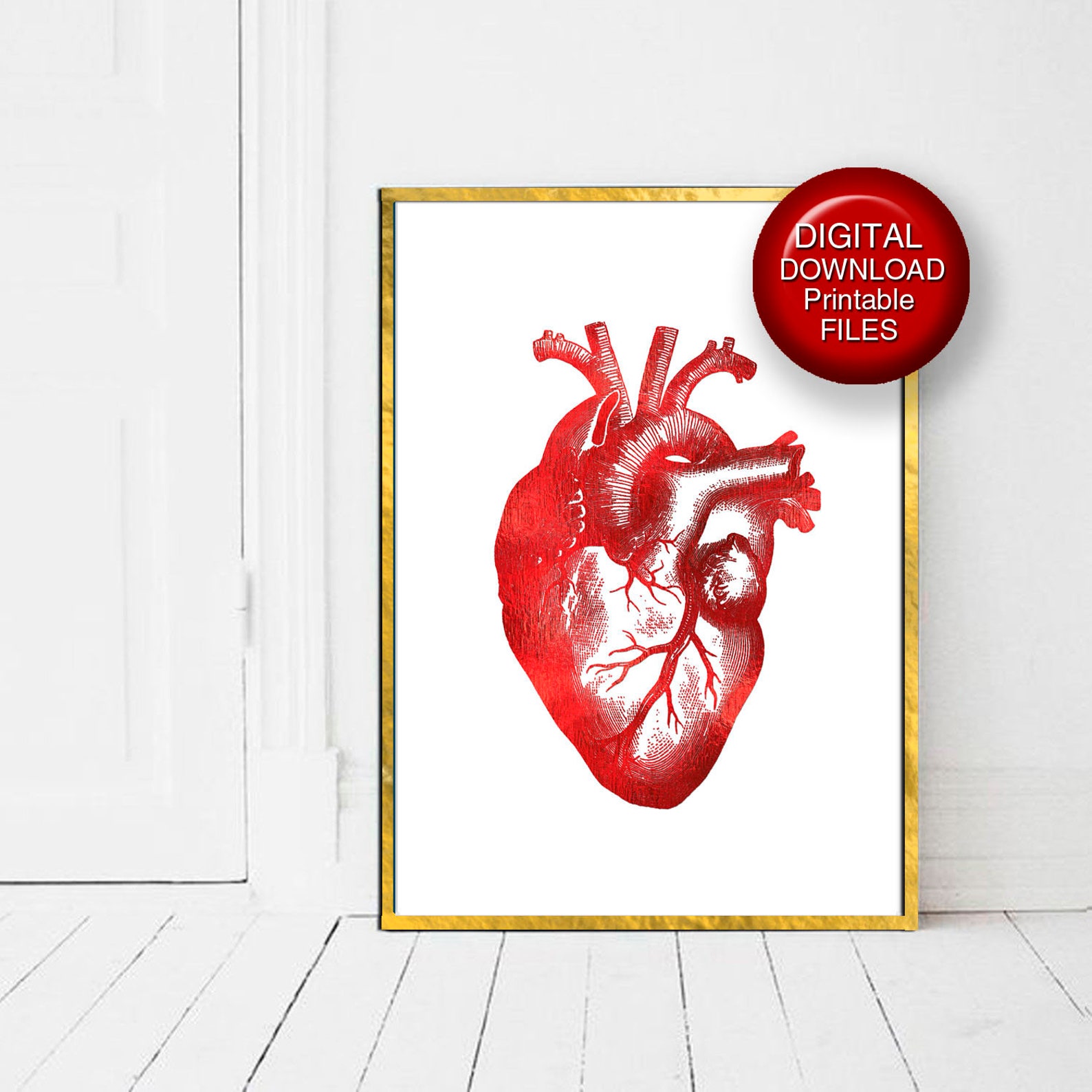 Valentine Printable Anatomical Heart Science Gift Red Etsy