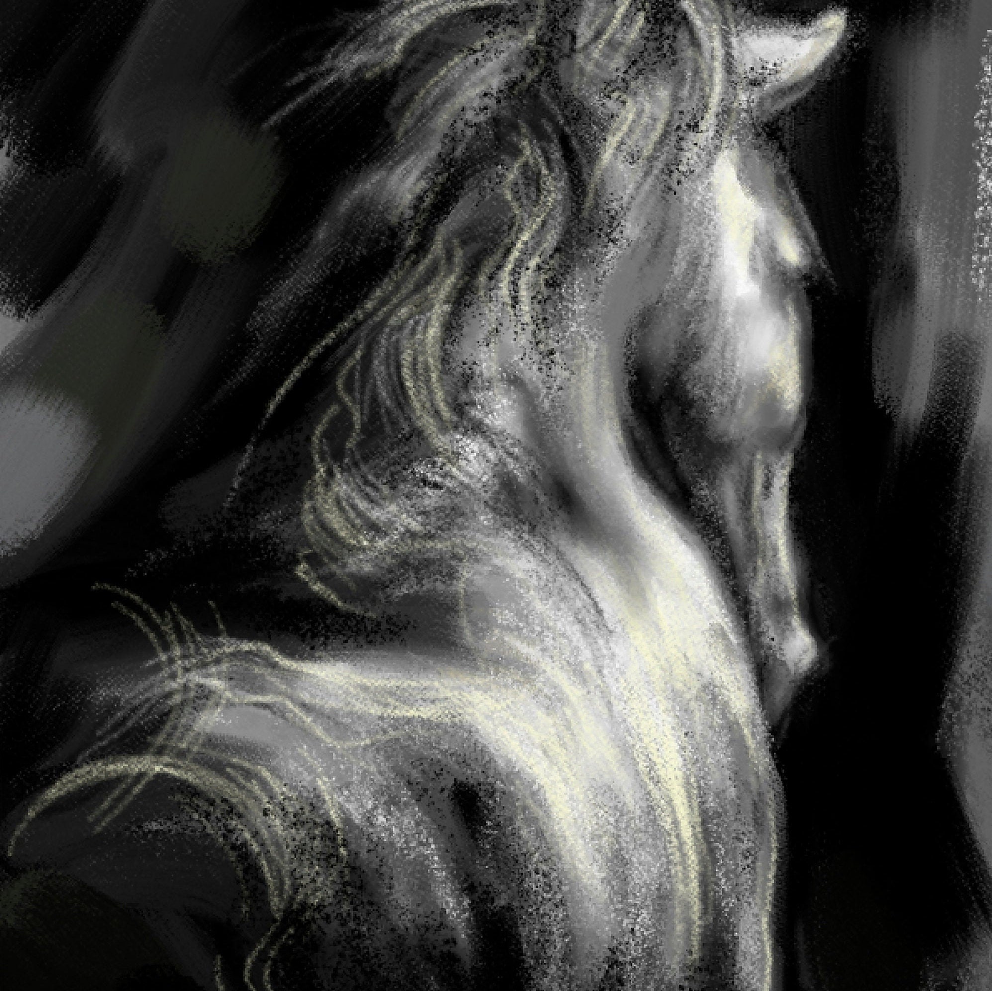 Set of 3 horse black and white poster downloadable file | Etsy
