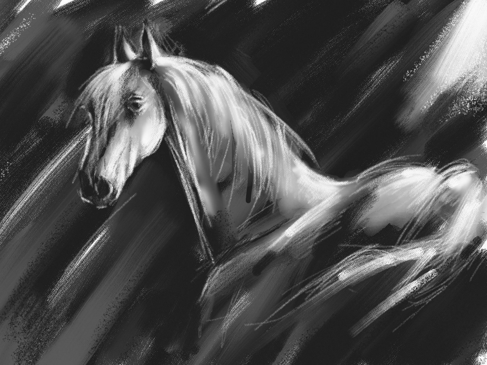 Dessin de cheval affiche téléchargeable en noir et blanc | Etsy