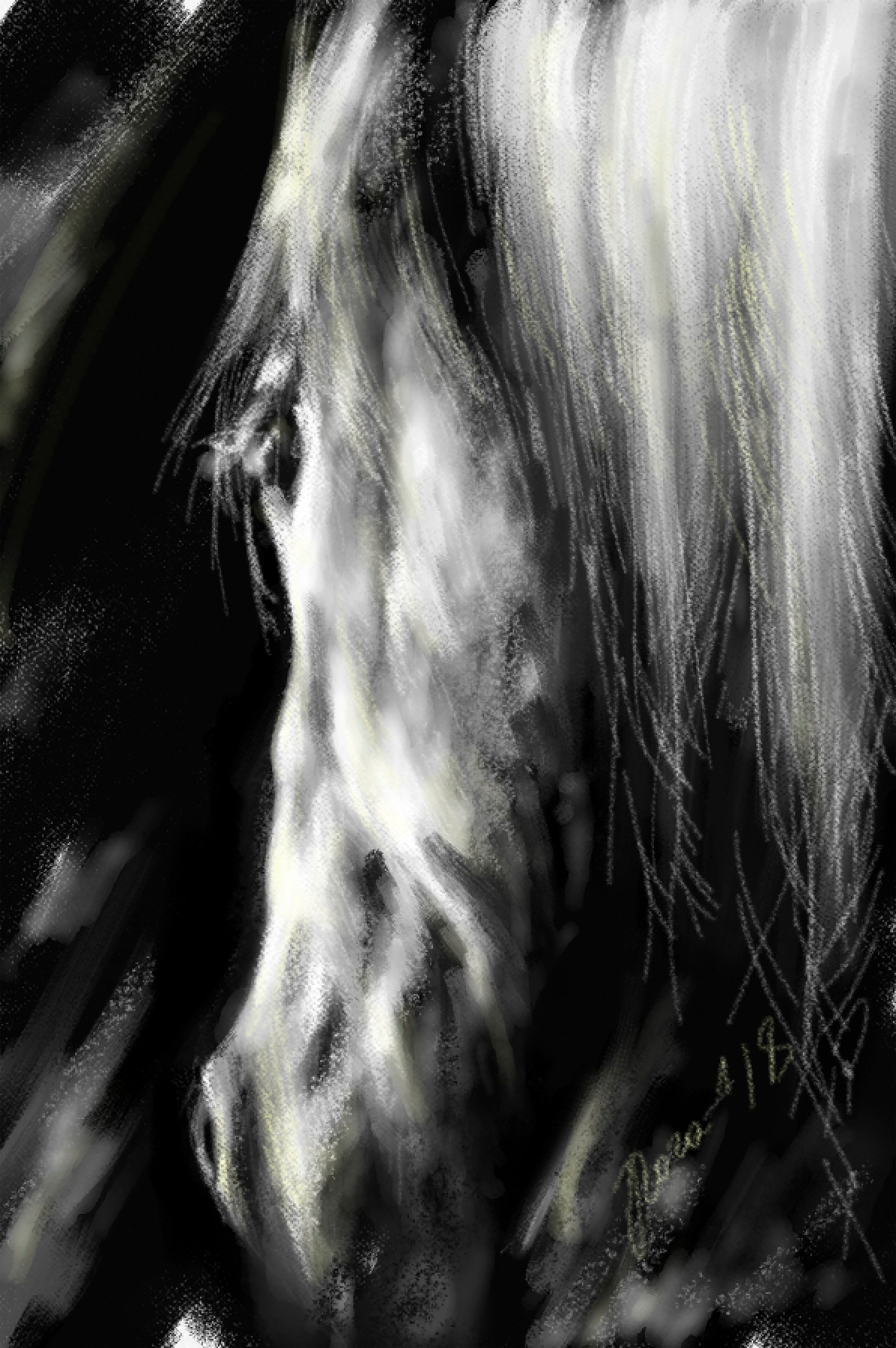 Set of 3 horse black and white poster downloadable file Etsy
