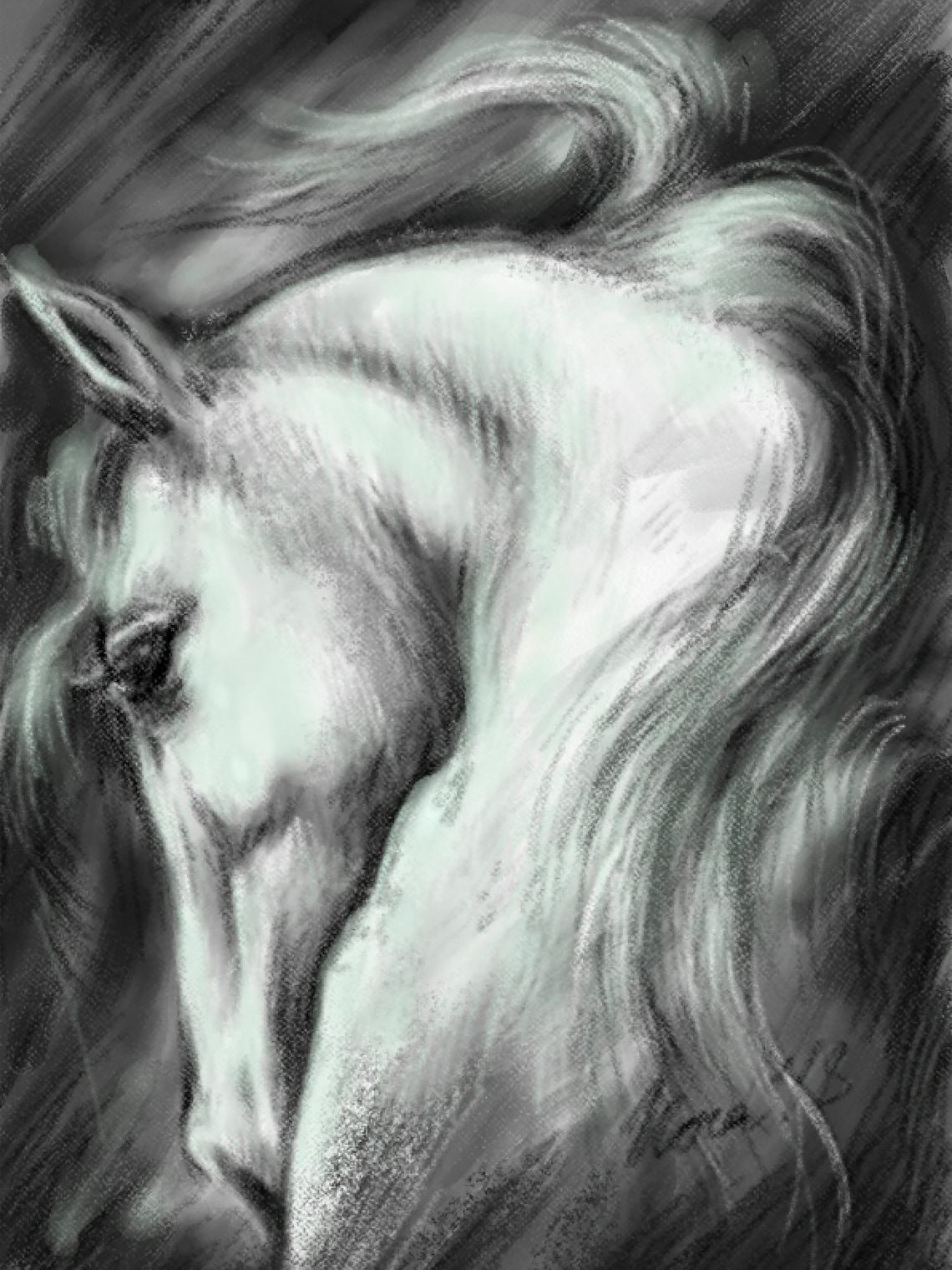 Schwarz und weiß Pferd Zeichnung druckbare KunstSet von 2 Etsy