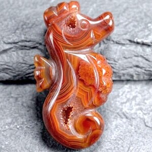 May include: A carved seahorse figurine in shades of orange and brown. The gemstone carving features detailed lines and patterns, with a hollowed-out section near the center. The seahorse has a curled tail and a detailed head.