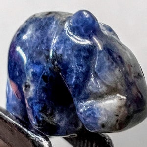 Blue Sodalite Hippo Figurine: Hand Carved Spirit Animal Totem 8658