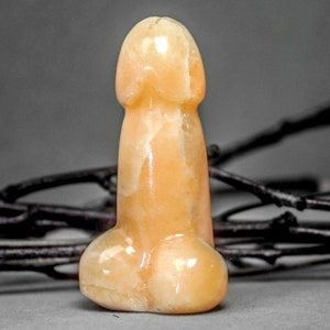 Könnte beinhalten: Eine hellorangefarbene, phallusförmige Skulptur mit polierter Oberfläche. Die Oberfläche der Skulptur weist leichte Farbvariationen auf. Dunkle, zweigartige Elemente befinden sich im Hintergrund und bilden einen Kontrast zur Form der Skulptur.