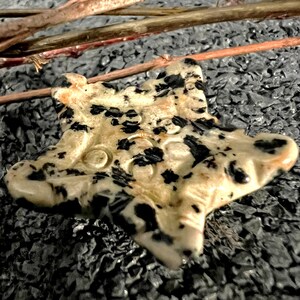 Dalmatian Jasper Starfish Spirit Animal Totem Fetish Stone Figurine 6987